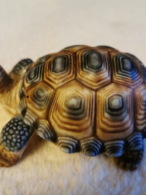 Wade Porcelain Tortoise Trinket Box